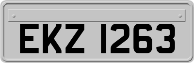 EKZ1263