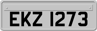 EKZ1273