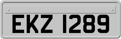 EKZ1289
