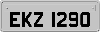 EKZ1290