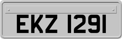 EKZ1291