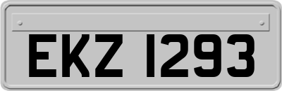 EKZ1293