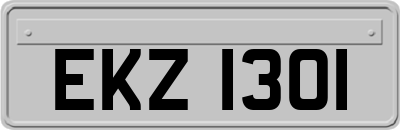 EKZ1301