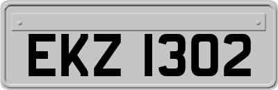 EKZ1302