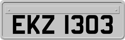 EKZ1303