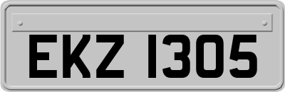 EKZ1305