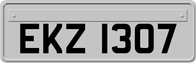 EKZ1307
