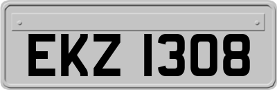 EKZ1308