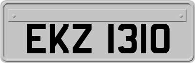 EKZ1310