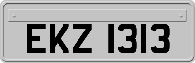 EKZ1313