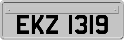 EKZ1319