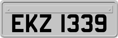 EKZ1339