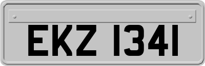 EKZ1341