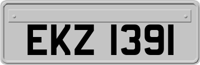 EKZ1391