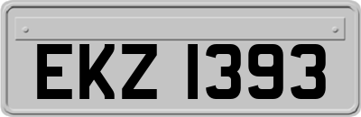 EKZ1393