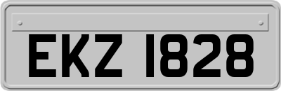 EKZ1828