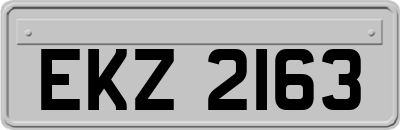 EKZ2163