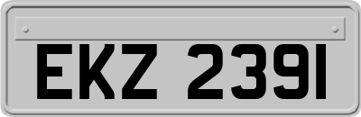 EKZ2391