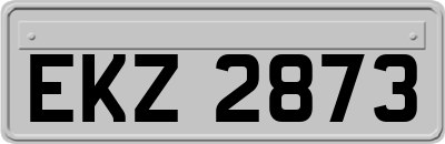 EKZ2873
