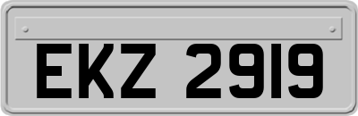 EKZ2919