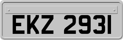 EKZ2931