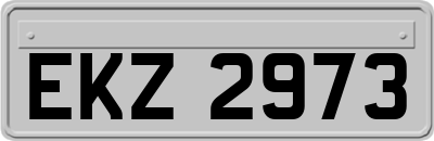 EKZ2973