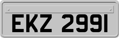 EKZ2991