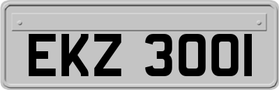 EKZ3001