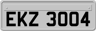 EKZ3004