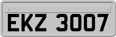 EKZ3007