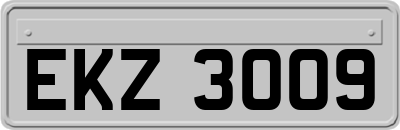 EKZ3009