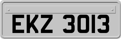 EKZ3013
