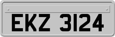 EKZ3124