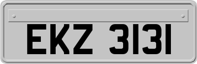 EKZ3131