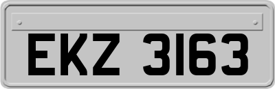 EKZ3163