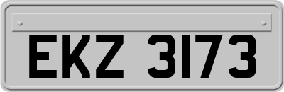 EKZ3173