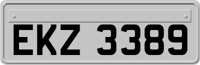 EKZ3389