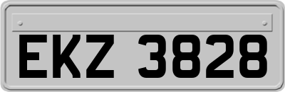 EKZ3828