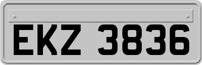 EKZ3836