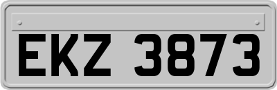 EKZ3873