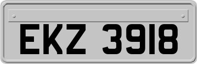 EKZ3918