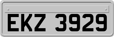 EKZ3929