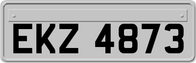 EKZ4873