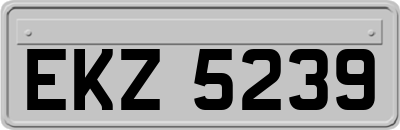 EKZ5239