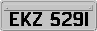 EKZ5291