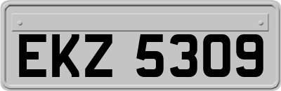 EKZ5309