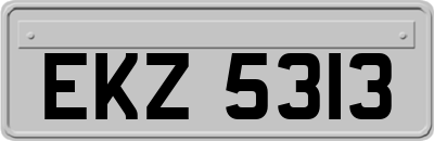 EKZ5313