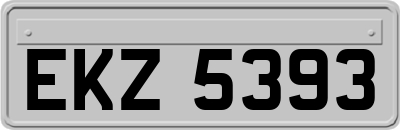 EKZ5393