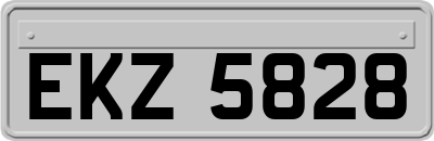 EKZ5828