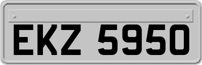 EKZ5950